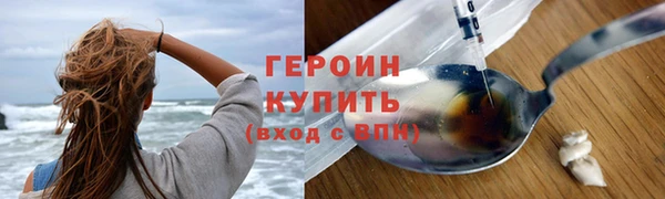 прущие грибы Богданович